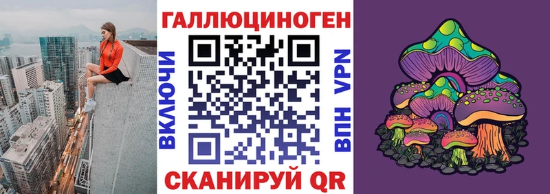 площадка как зайти  Котельниково  Галлюциногенные грибы GOLDEN TEACHER 
